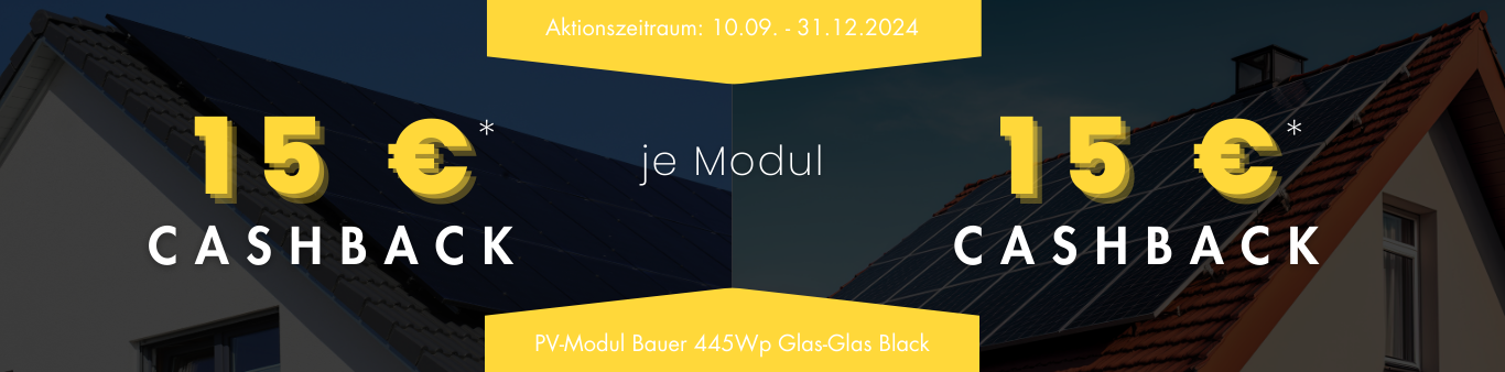 PV-Modul Bauer 445Wp Glas-Glas Black